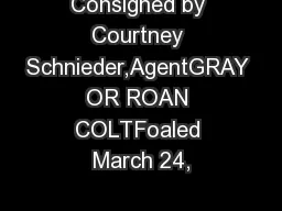 Consigned by Courtney Schnieder,AgentGRAY OR ROAN COLTFoaled March 24,