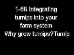 1-68 Integrating turnips into your farm system Why grow turnips?Turnip