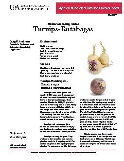 Are there varieties of turnips grown just for the tops? varieties Allt