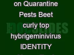 Prepared by CABI and EPPO f r the EU under Contr act  Data Sheets on Quarantine Pests
