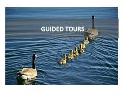 GUIDED TOURS
