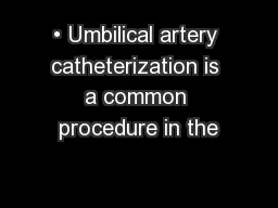 • Umbilical artery catheterization is a common procedure in the