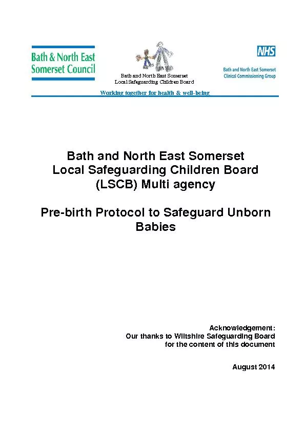 Bath and North East Somerset Local Safeguarding Children Board SCB) Mu