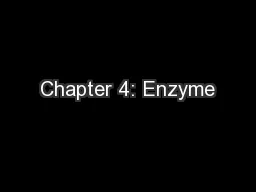 Chapter 4: Enzyme