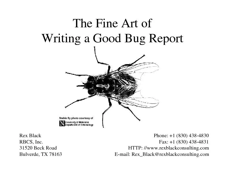 The Fine Art of Writing a Good Bug Report