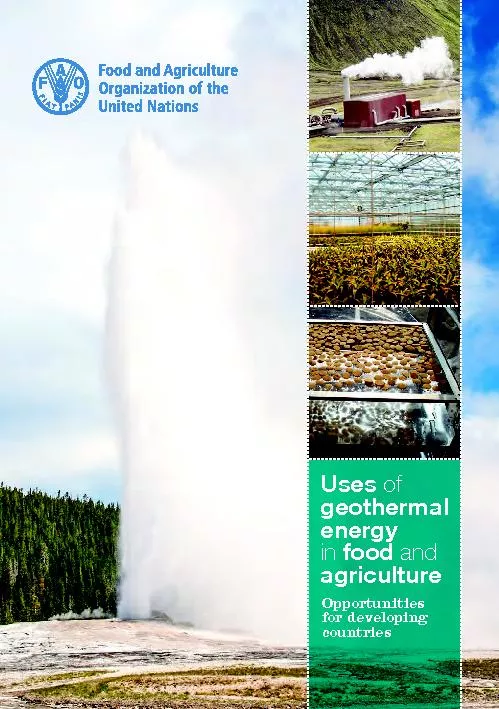 Uses of geothermal energy in food and agriculture – Opportunities