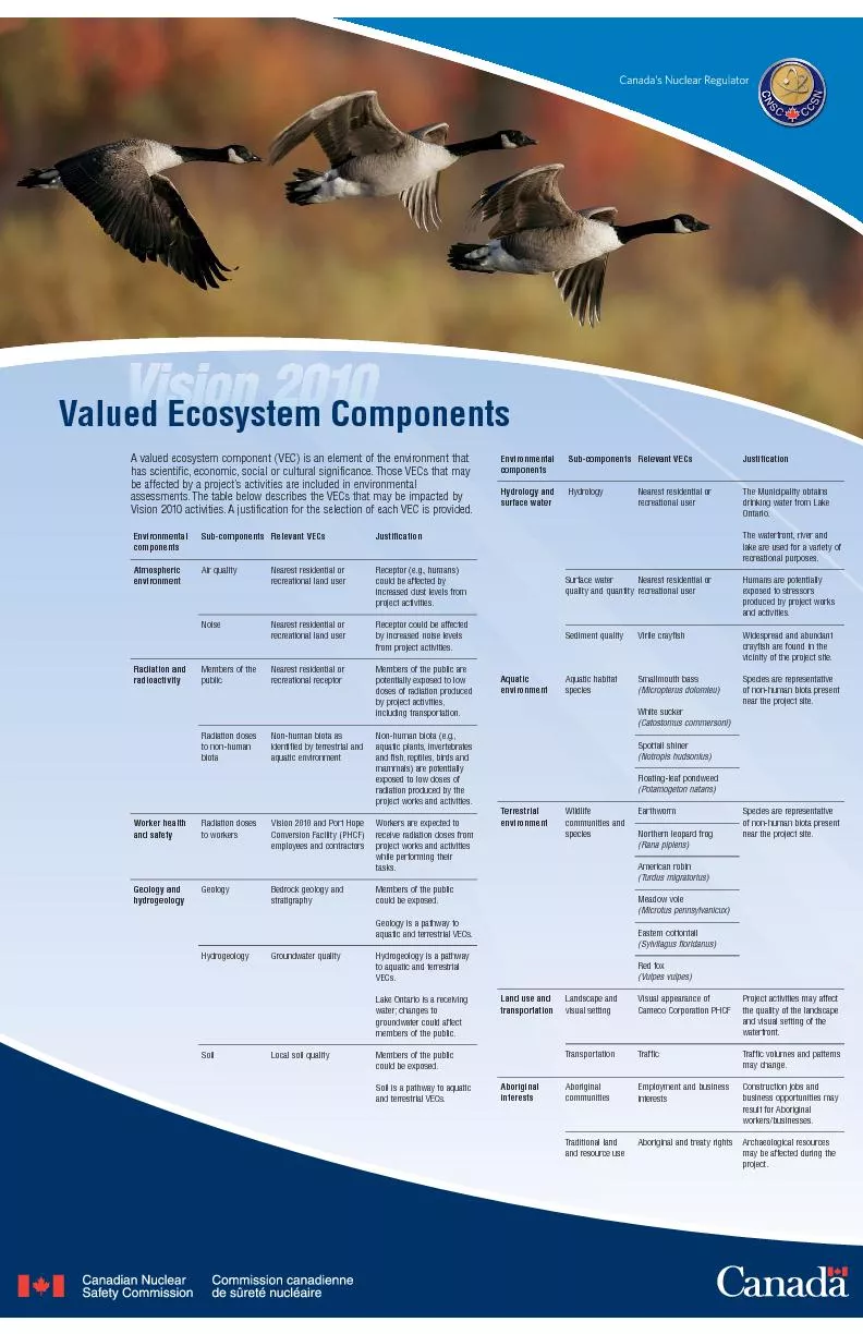A valued ecosystem component (VEC) is an element of the environment th