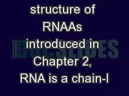 Secondary structure of RNAAs introduced in Chapter 2, RNA is a chain-l