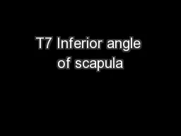 T7 Inferior angle of scapula