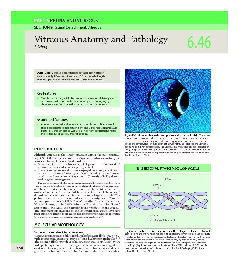 INTRODUCTION Although vitreous is the largest structure within th