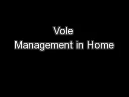 Vole Management in Home