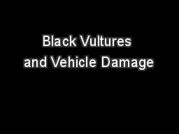 Black Vultures and Vehicle Damage