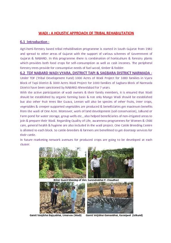 PDF-	\n	\r					 thumbnail