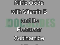 Reactions of Nitric Oxide with Vitamin B  and Its Precursor Cobinamide Vijay S