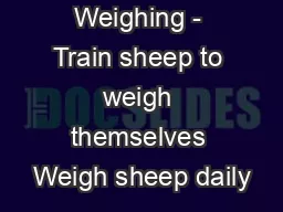 Walk Over Weighing - Train sheep to weigh themselves Weigh sheep daily