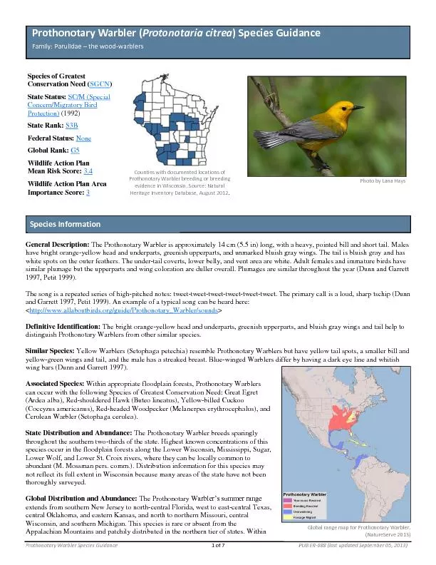 Prothonotary Warbler Species Guidance