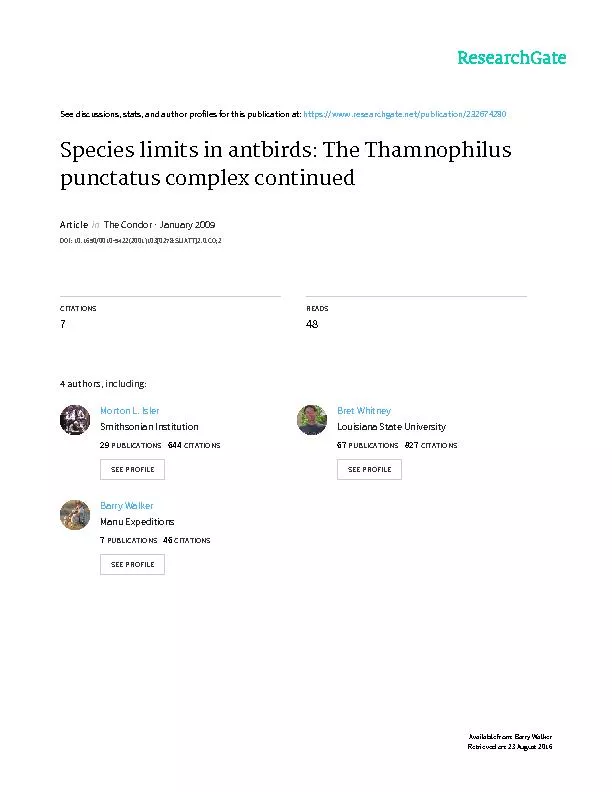 SPECIES LIMITS IN ANTBIRDS (THAMNOPHILIDAE): THE WARBLING ANTBIRD (HYP