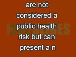 waspsWasps are not considered a public health risk but can present a n