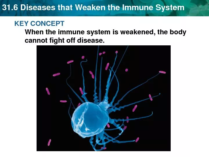 31.6 Diseases that Weaken the Immune System