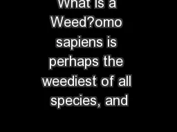 What is a Weed?omo sapiens is perhaps the weediest of all species, and
