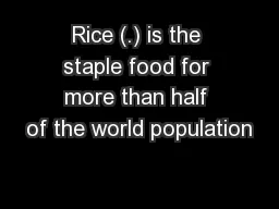 Rice (.) is the staple food for more than half of the world population