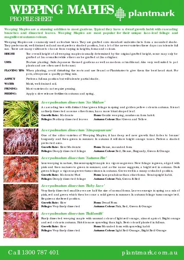 WEEPING MAPLES PROFILE SHEET