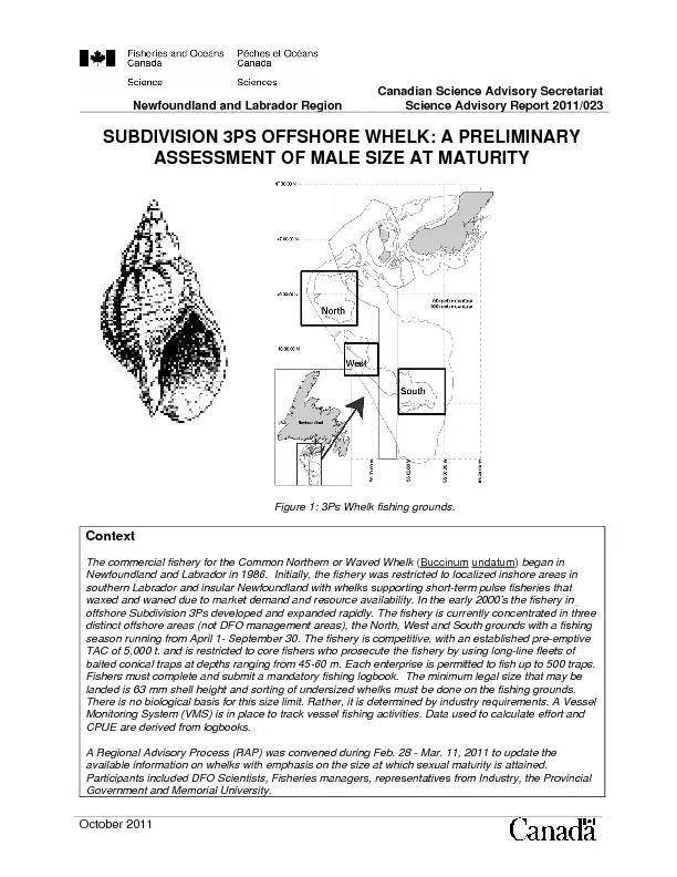 Newfoundland and Labrador Region Assessment of 3Ps Offshore Whelk 
...