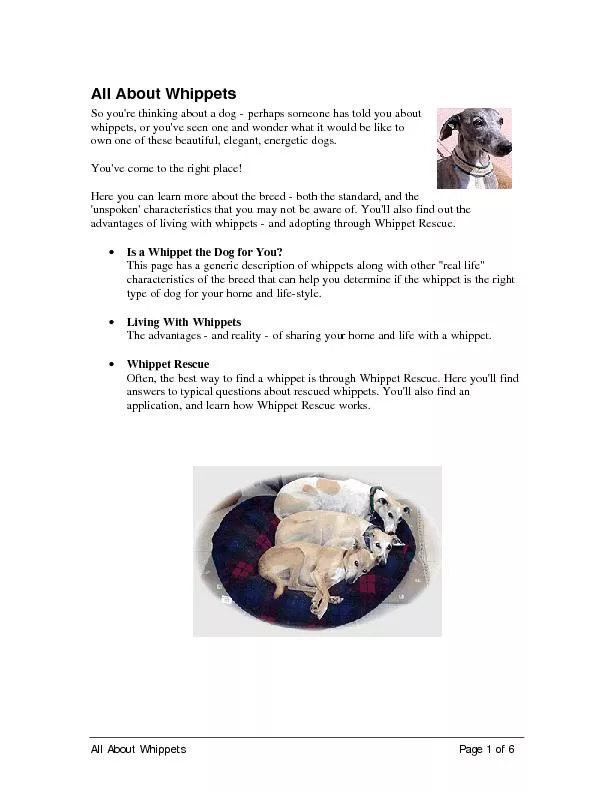 All About Whippets Page 1 of 6