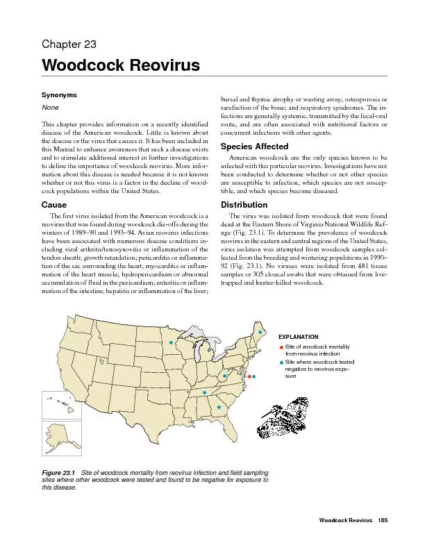 Woodcock Reovirus185Woodcock Reovirus