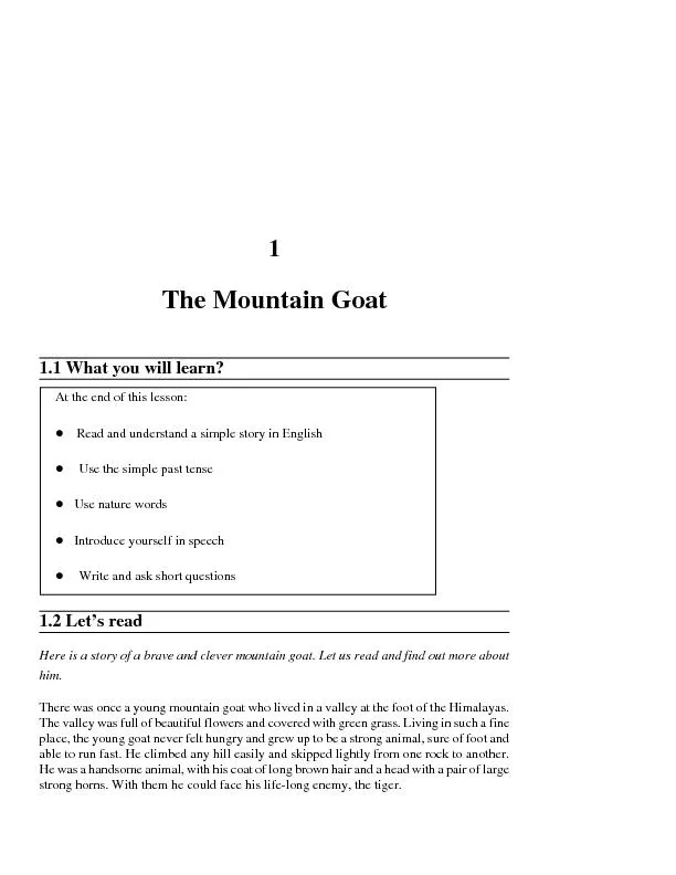 The Mountain Goat11The Mountain Goat
