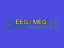 EEG / MEG: