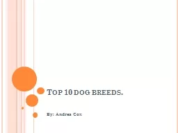 Top 10 dog breeds.