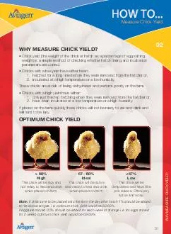 WHY MEASURE CHI K IELD WHY MEASURE CHI K IELD Chick yield the weight of the chick at hatch