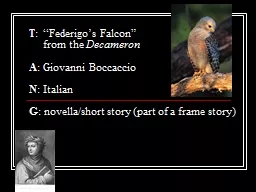 T : “Federigo’s Falcon”