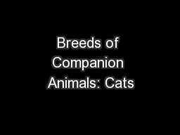 Breeds of Companion Animals: Cats