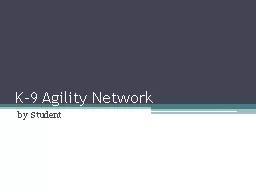 K-9 Agility Network