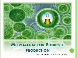 Microalgae for Biodiesel production
