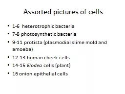 Assorted pictures of cells