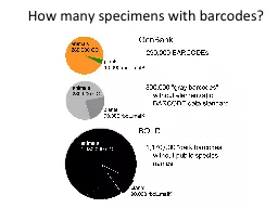 How many specimens with barcodes?