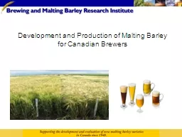 Development and Production of Malting Barley  for Canadian