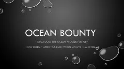 Ocean Bounty