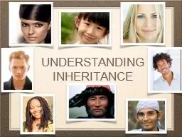 Understanding Inheritance
