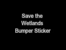Save the Wetlands Bumper Sticker