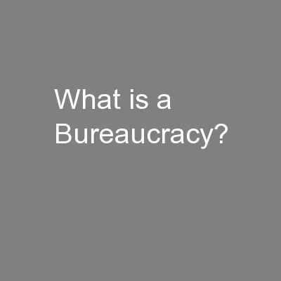 What is a Bureaucracy?