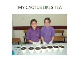 MY CACTUS LIKES TEA