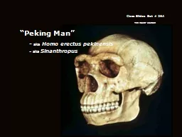 “Peking Man”