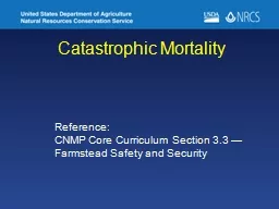 Catastrophic Mortality