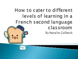 How to cater to different levels of learning in a French se
