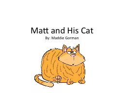 Matt and His Cat