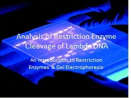 Analysis of Restriction Enzyme Cleavage of Lambda DNA